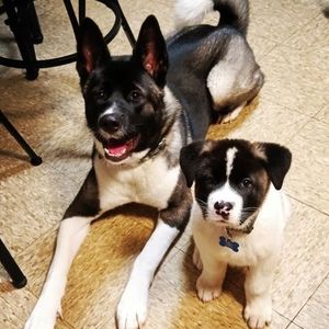 Meet your Posher, Tina